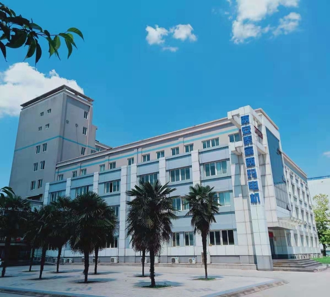 Porcellana Xi'an Simo Motor Co., Ltd. Profilo Aziendale